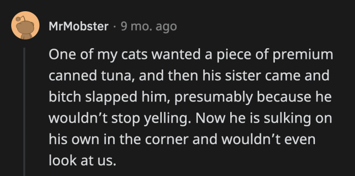 31. Sister is brutal!