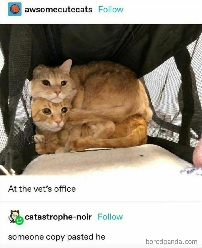 12. “When you accidentally open the same tab twice.”