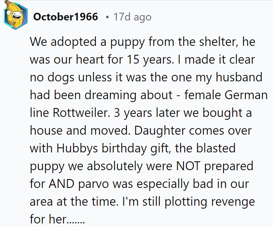 Looks like the birthday surprise came with a 'ruff' dose of reality! Revenge served with a side of puppy love?
