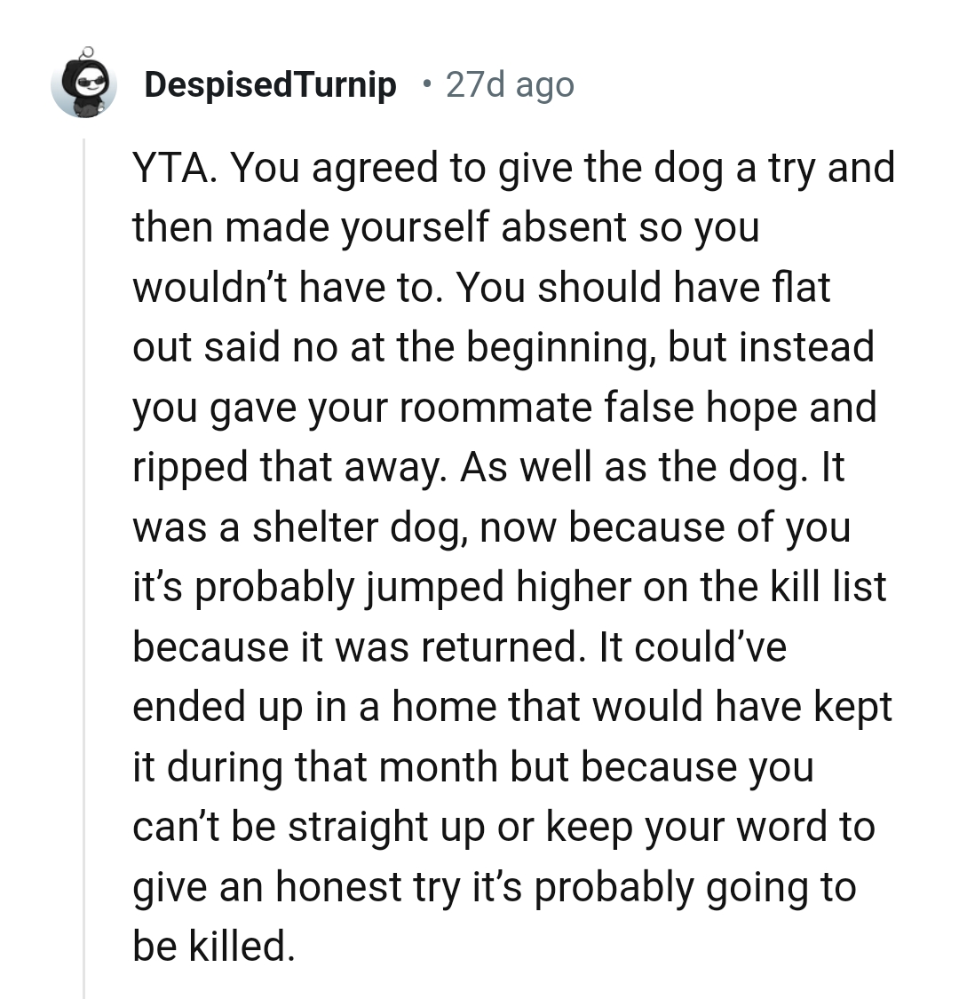 The OP made herself absent despite agreeing to give the dog a trial