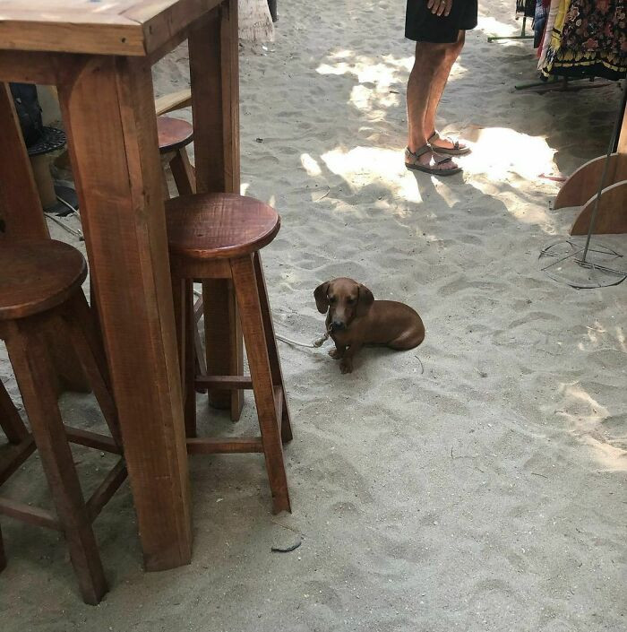 7. Now, how do we caption this...