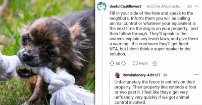 Redditor Who's Fed Up With The Neighbor's Dog Barking At Him Wants To Know If It's Wrong To Start Spraying It