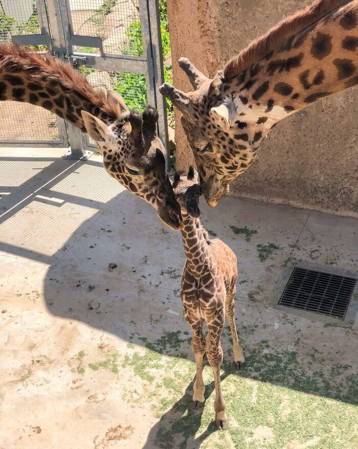 14. First Family Photo - Santa Barbara Zoo