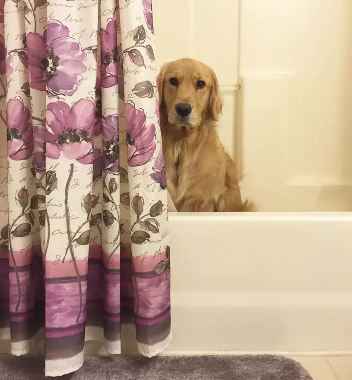 1. Showers shouldn’t be lone tasks