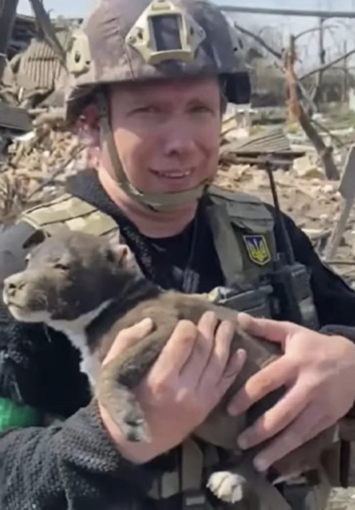 After a few moments, their efforts paid off as they found the little dog