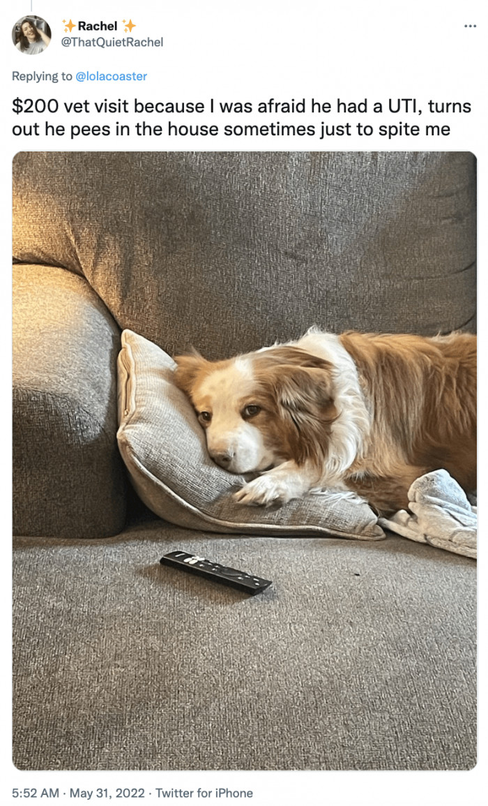 12. What He Does to Spite Me...