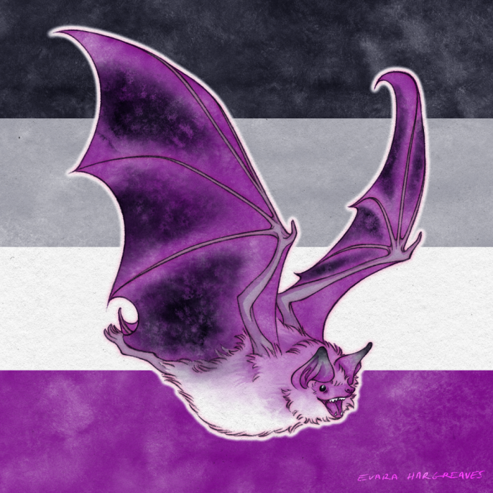 1. Painted bat as Asexual 
