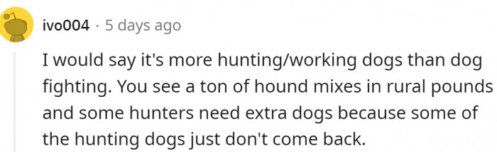 Hunting and working dogs