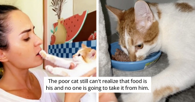 Young Woman Shares The Moment She Found A Terrified Kitten In Her Yard