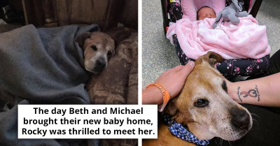 17-Year-Old Adopted Dog Hangs On To Life, Just Long Enough To Meet Human Sister
