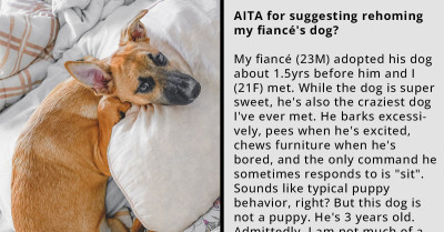 Woman Rethinks Future With Her Fiancé After Fighting About Rehoming His Dog, Which Revealed Just How Incompatible They Are