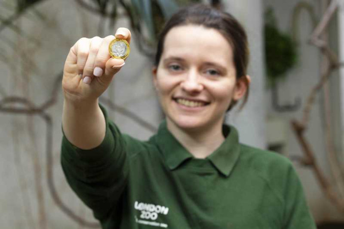 From London Zoo to Global Conservation Leader