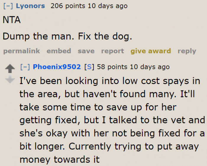 The OP Is Saving Up Money to Get the Dog Spayed.