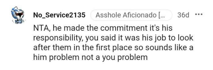 The OP did say it was his job to look after the dogs in the first place