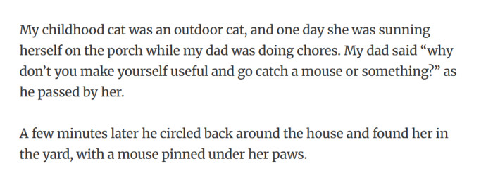 12. “Why don’t you make yourself useful and go catch a mouse or something?”