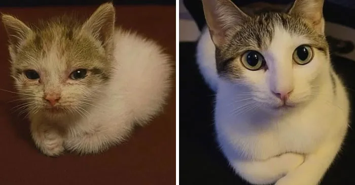 49. Same glare, different tax bracket.