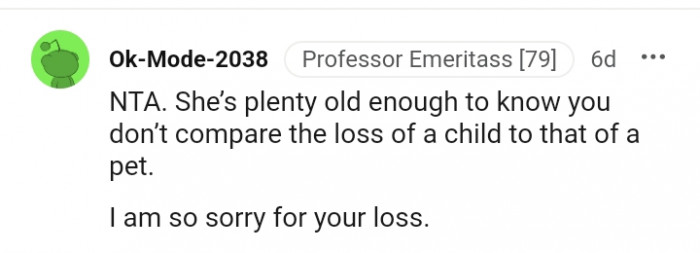 4. Don't compare the loss of a child to a pet