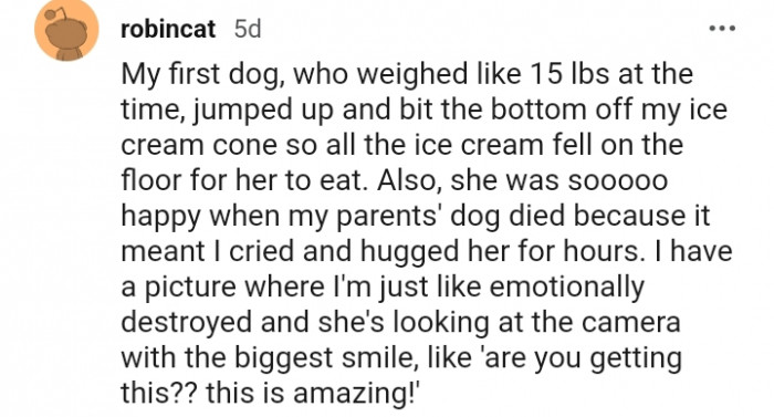 17. This dog bit the bottom of her human's ice cream cone