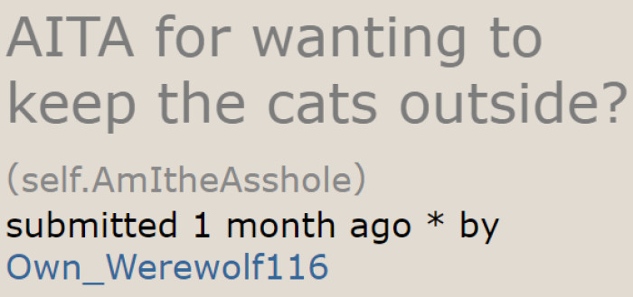 The OP insists on keeping the cat outside despite their sister asking for a couple to be kept indoors.