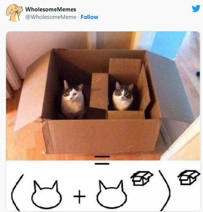 11. The friendship mathematical formula