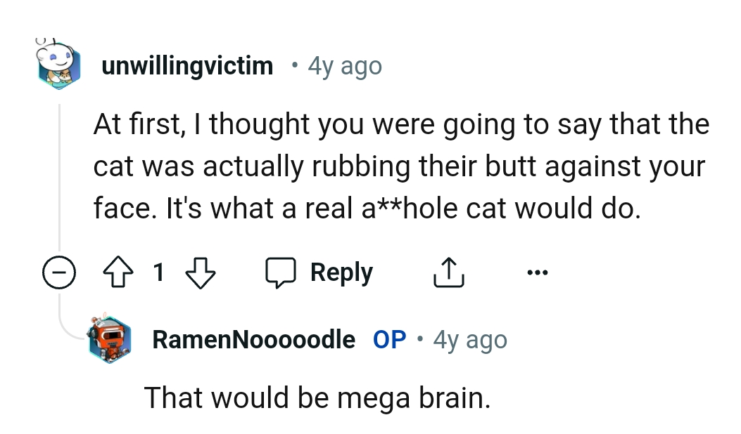 This is what a real AH cat would do