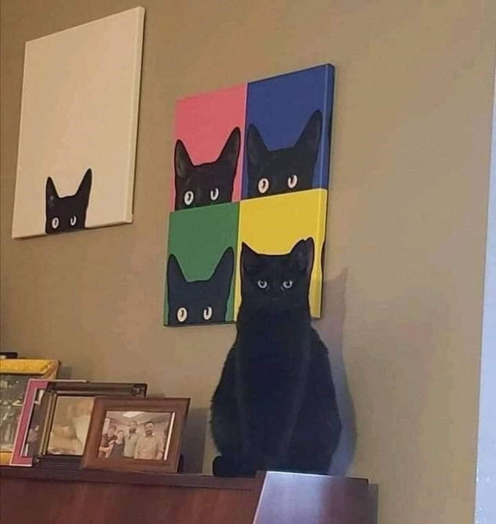 11. All for you, the king