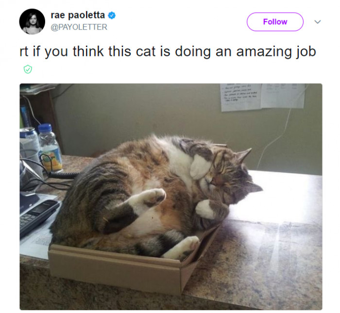 24. **slams retweet button**