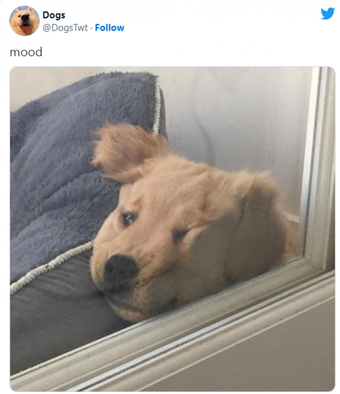 17. Just in That Kind of Mood...