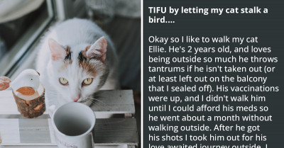 Man Lets His Cat Stalk A Bird And Ends Up On The Flock's A**hole List