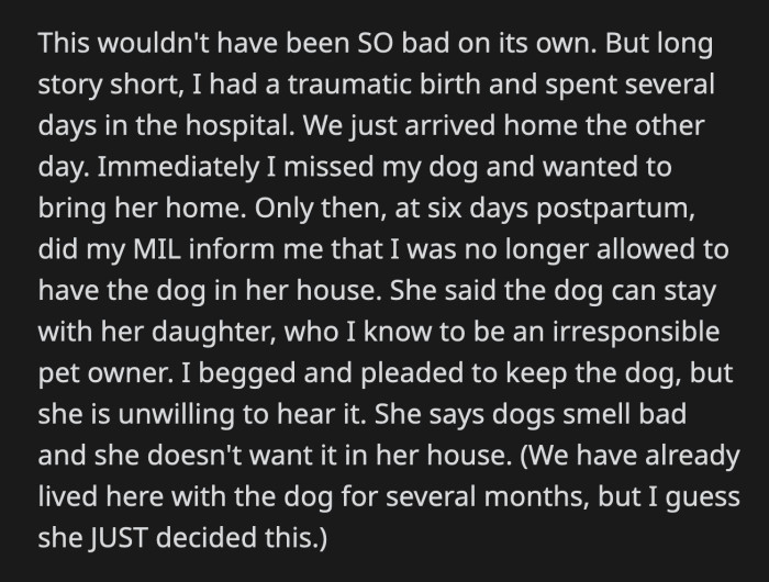 Her Dog Has Been Her Source of Comfort for the Past Nine Years. OP Was Devastated That She Could No Longer Live with Her Dog for the Sake of Keeping the Peace with Her In-Laws.