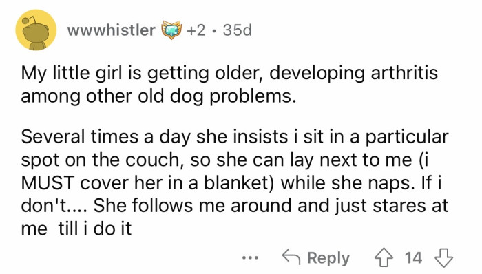 Missing those dog angels.