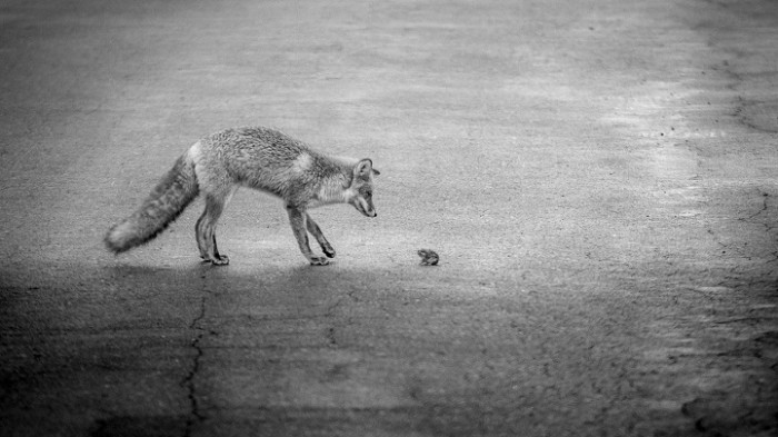 Do you want to be friends?