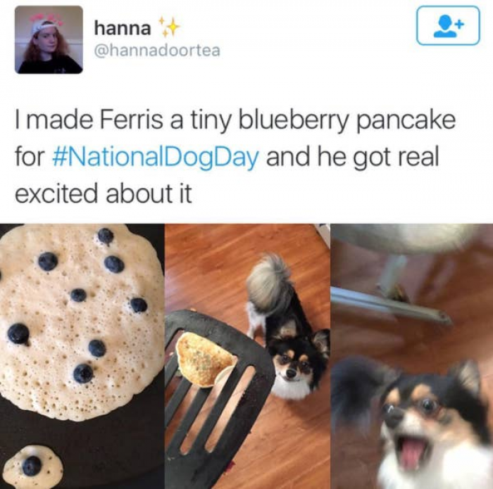 6. Dogs are closer to acting like kids than we might think.