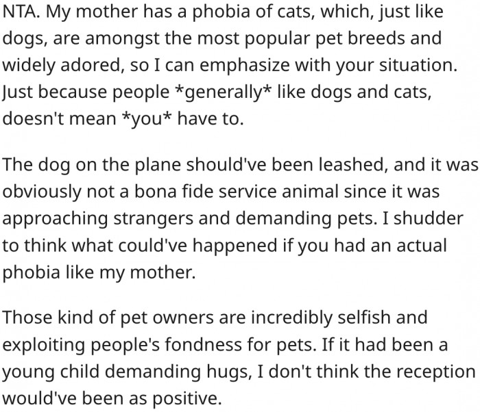 10. Dogs should be on leashes when on planes.