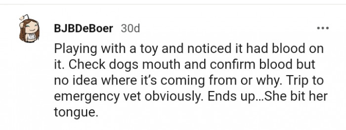 A trip to the vet's shows the dog only bit its tongue