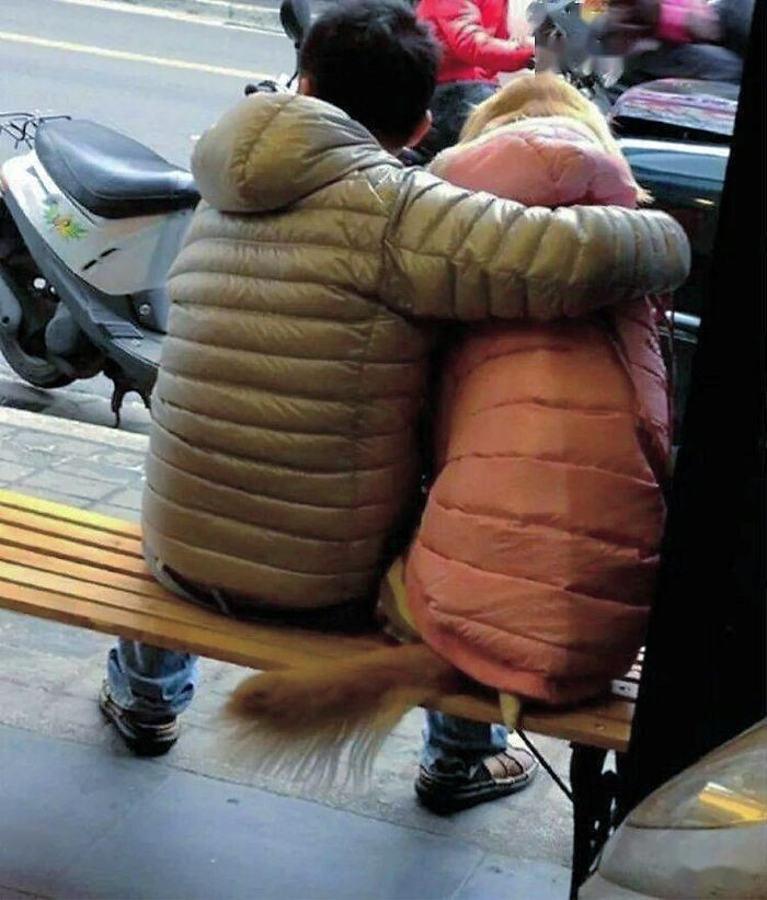 26. For the doggo love