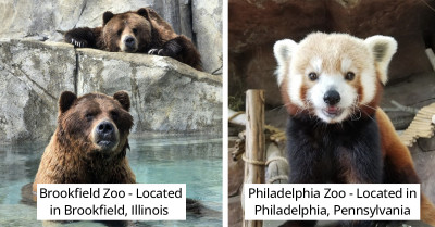 15 Animal Sanctuaries And Zoos In The U.S. You Simply Must Visit If You're An Animal Enthusiast
