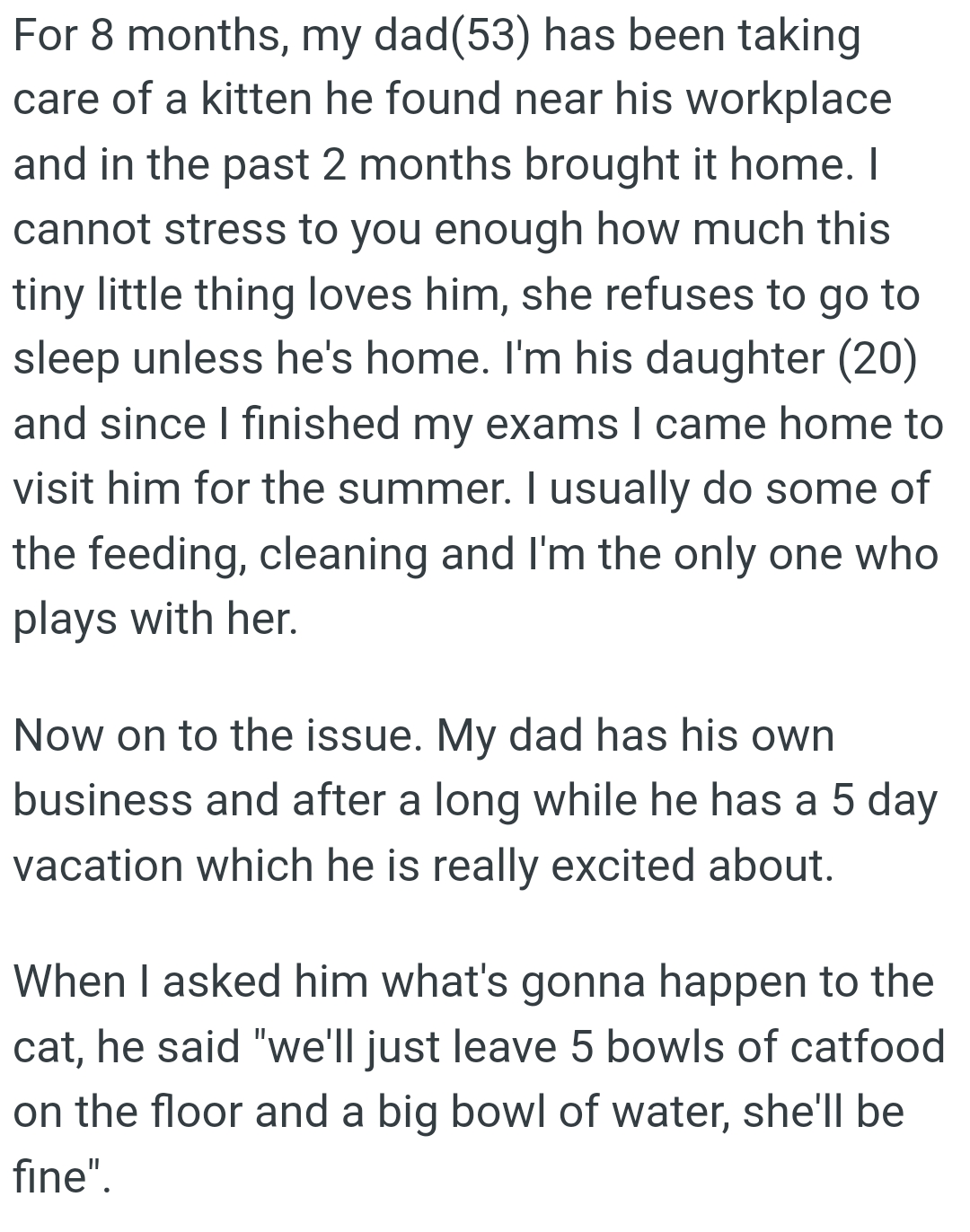 The OP Usually Does Some of the Feeding, Cleaning, and She's the Only One Who Plays with the Cat