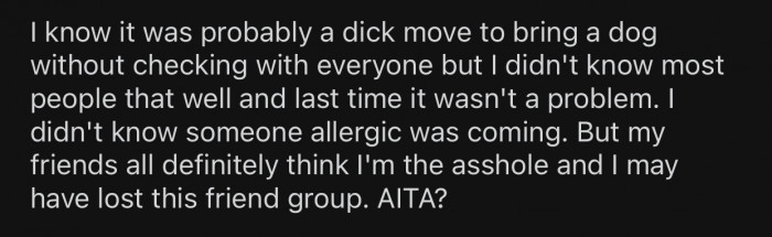 OP is unsure whether they are in the wrong for bringing the dog on the trip without consulting their friends first.