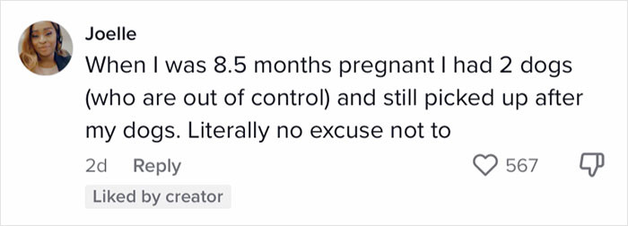 People also mentioned that there is basically no excuse not to pick up after their dogs.