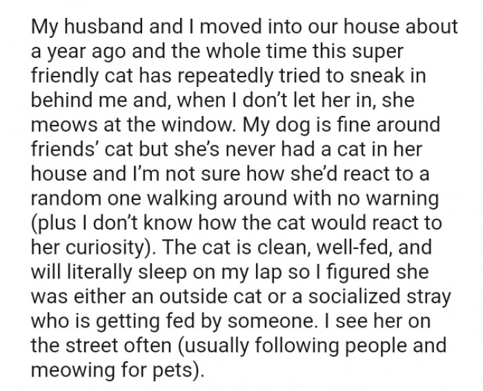 This super friendly cat has repeatedly tried to sneak in behind the OP