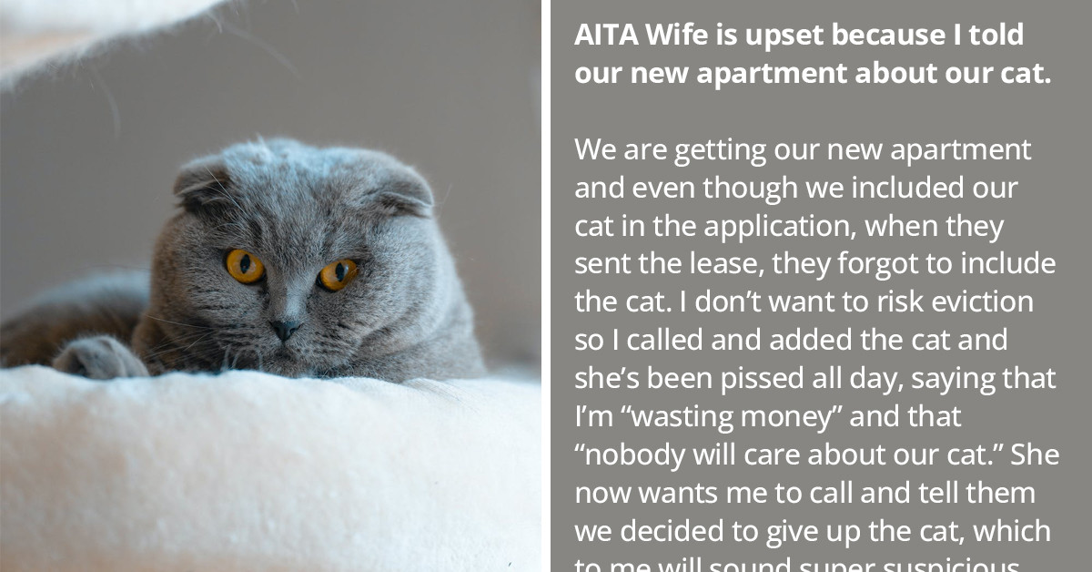 Wife Gets Upset After Husband Informed Their Landlord That They Have A