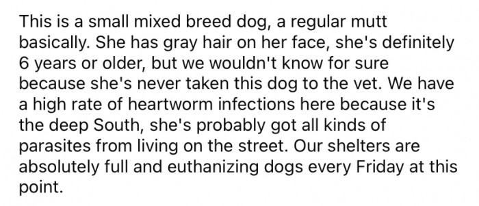 The OP says the dog is at least six years old, and her cousin has never taken her to the vet.