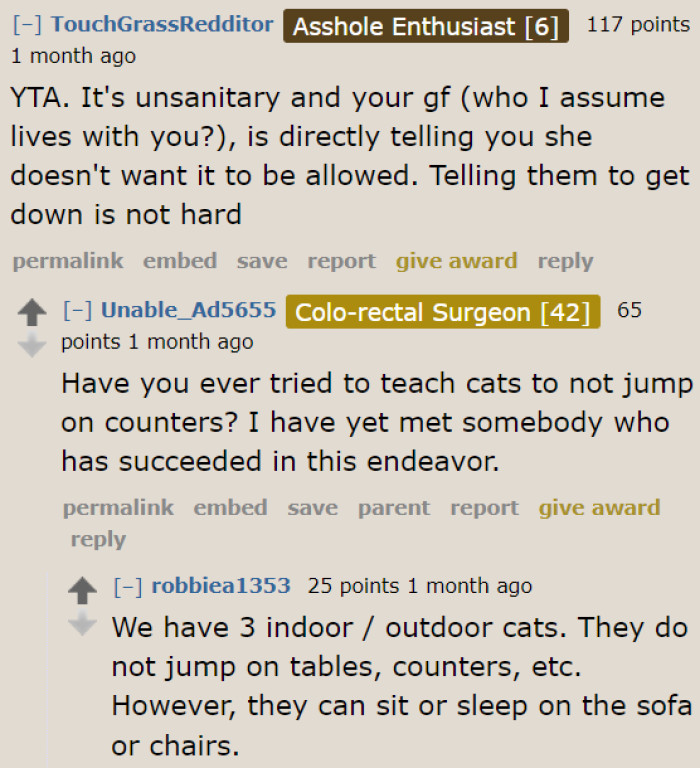 The OP should just teach his cats to jump on the sofa and chairs, not the counter.