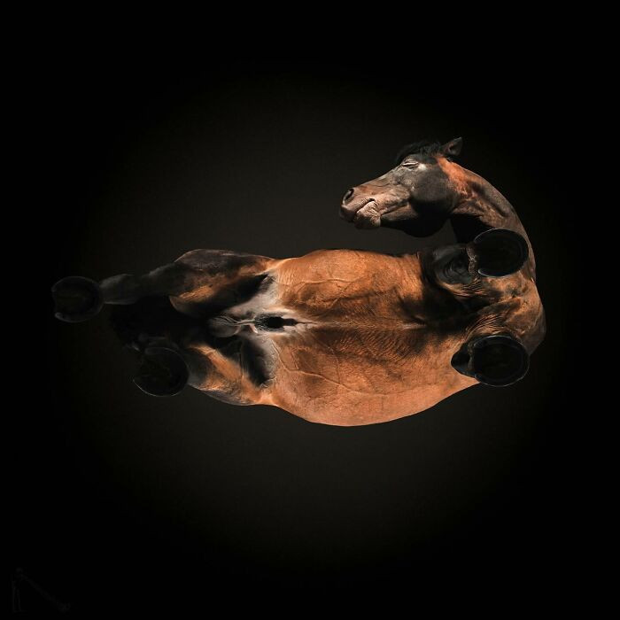 33. “When the photographer says ‘act natural,’ and you overthink it.”