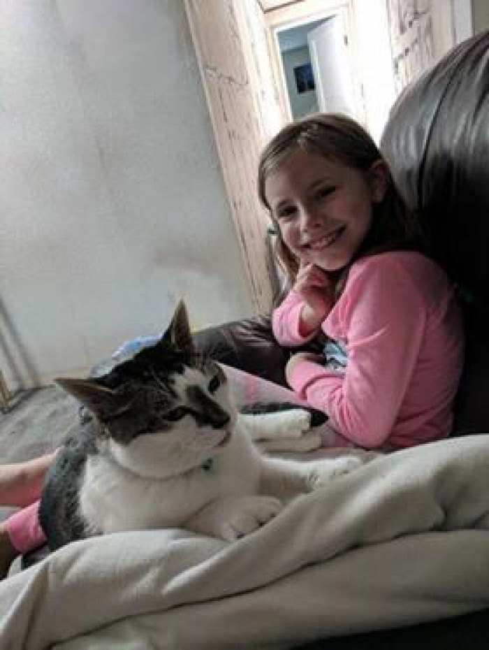 Kristy finally got her daughter a cat, and she's pretty smitten as well