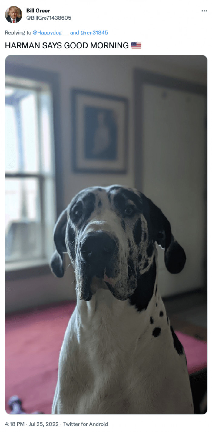 19. Say hello to this cutie.