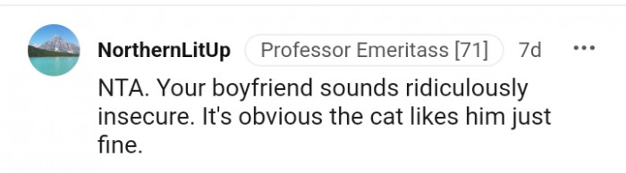 It's obvious the cat likes him