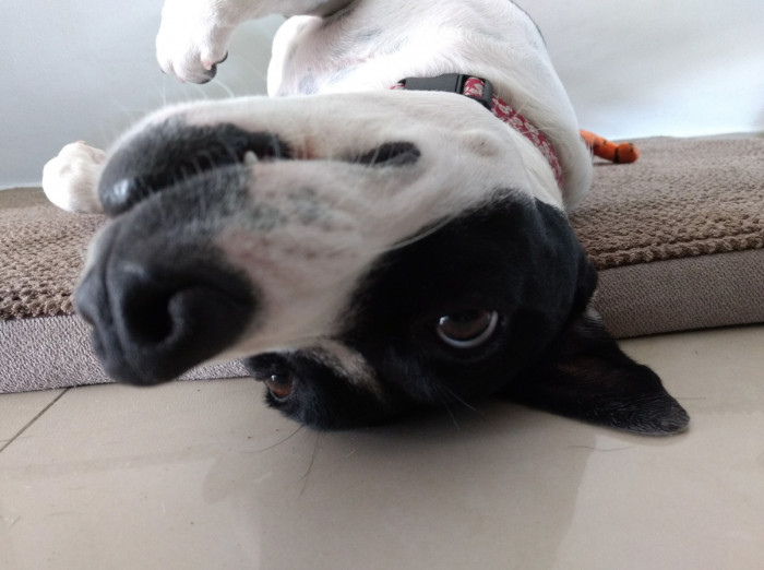 We'd rather not risk it...