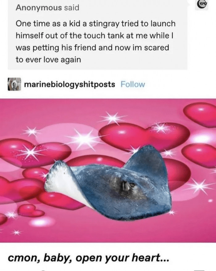 10. Scared to love again.